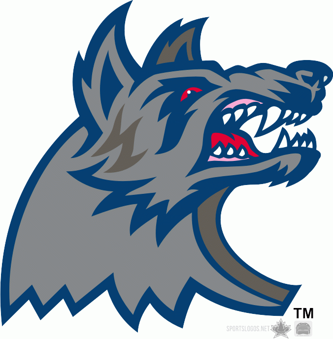 Hartford Wolf Pack 1999 00 Alternate Logo iron on transfers for clothing
